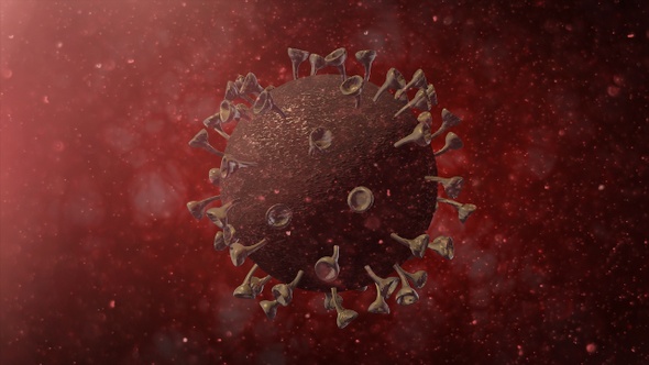 Corona Virus Inside Human Body System alt