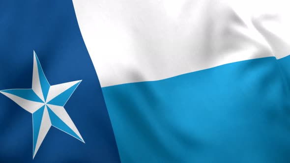 Dallas County Flag (Texas) - 4K