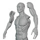 Male Human Anatomy for 3D Printing - 3DOcean Item for Sale