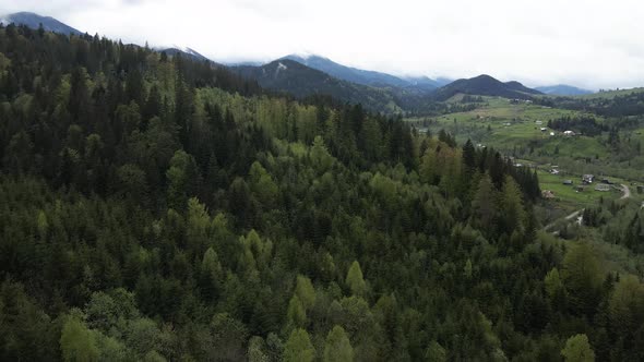 Ukraine, Carpathian Mountains: Beautiful Mountain Forest Landscape. Aerial