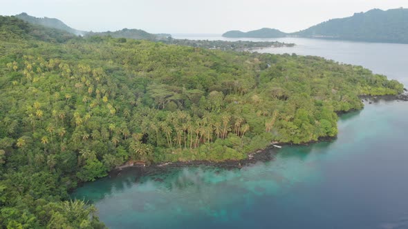 Aerial: flying over tropical island Banda Islands Maluku Indonesia lush green fo
