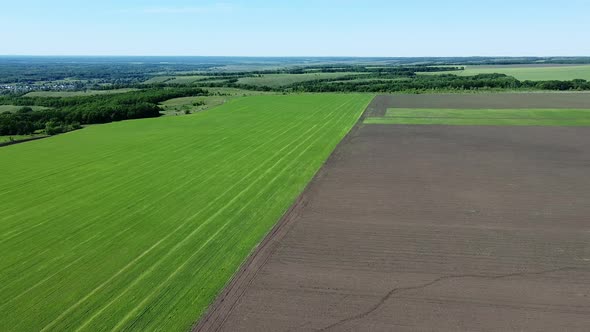 Aerial View of the Cultivated Field. Growing Organic Crops in the Countryside