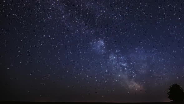 Milky Way Galaxy In Night Starry Sky Above Lonely Tree In Summer Meadow