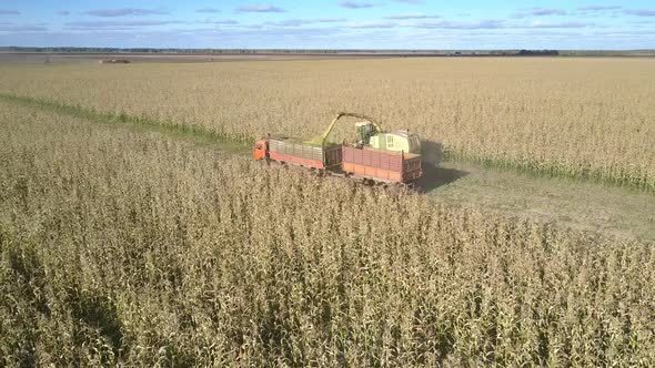 Forage Combine Drives Past Vehicle Unloading Cut Crop