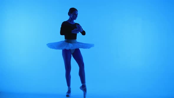 Professional Ballerina Dancing Ballet