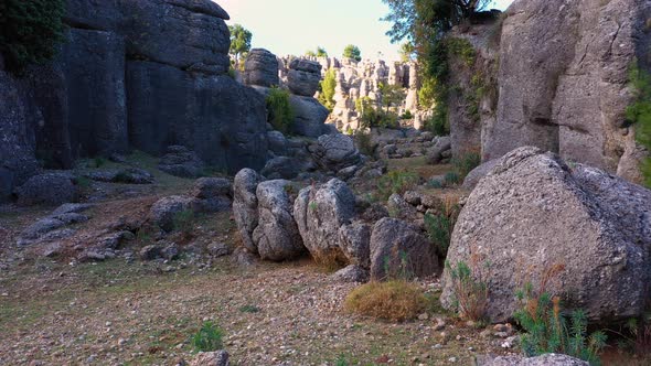 Park with Beautiful Rock Formations and Green Coniferous Trees on a Summer Day