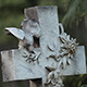Graveyard With Old Carved Headstone - VideoHive Item for Sale