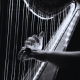 Emotional Relaxing Harp 7