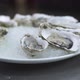 Chef in Gloves Lays Raw Oyster on Plate with Crushed Ice - VideoHive Item for Sale