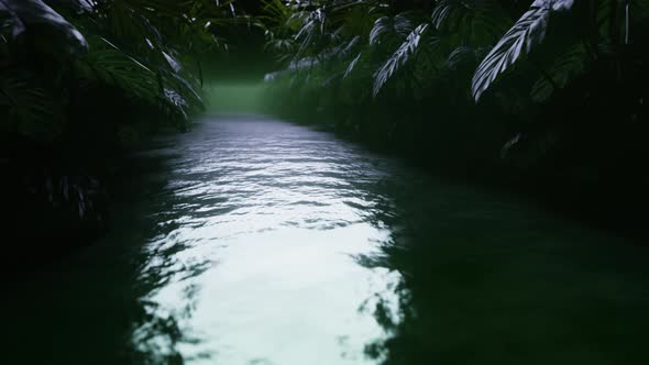 Tropical Background Flight Uder the Jungle Green Water