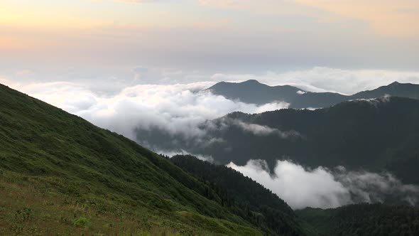 Cloud Fragments in a Forested Valley and Mountain Landscape