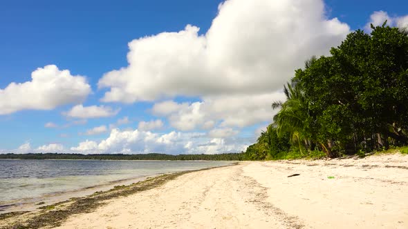 Beach on a Tropical Island