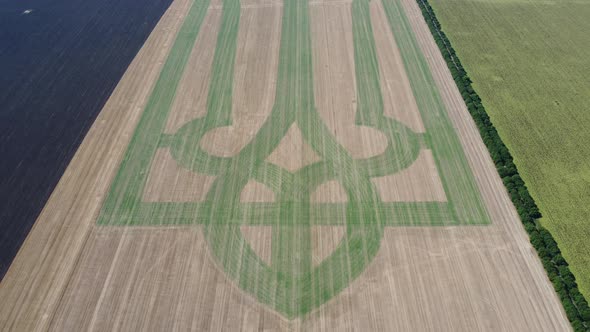 Coat of Arms of Ukraine on a Wheat Field