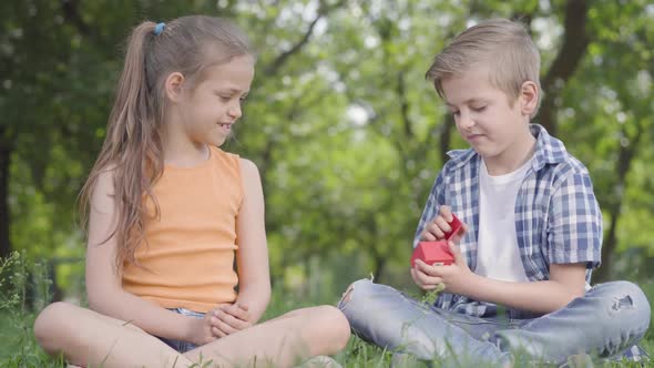 Pretty Little Girl and the Handsome Boy Sitting on the Grass Together. The Boy Taking a Small Red