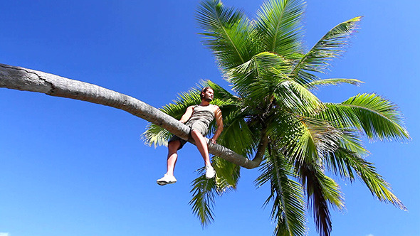 Handsome Man Sitting in a Palm Tree