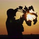 Silhouette Woman Holding Sugar Beets at Sunset - VideoHive Item for Sale