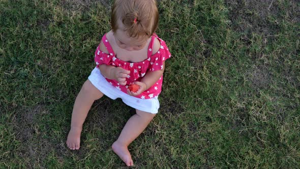 Adorable Toddler Girl Sitting on the Grass