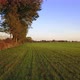 Aerial Cinematic Clip Drone Flying Over a Farm Field During Sunset - VideoHive Item for Sale