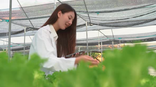 Asian scientist woman examined the quality of vegetable organic salad from the hydroponic farm 