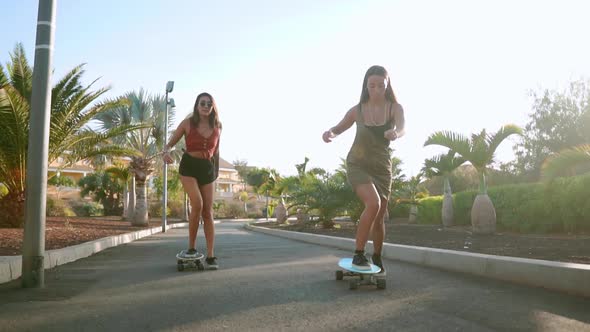 Young Spanish Girls Ride Skateboards on an Island Near Palm Trees on Asphalt Paths of the Park in