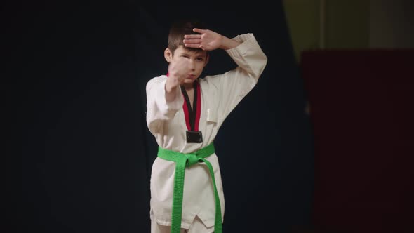 A Little Boy Doing Taekwondo