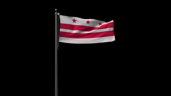 Washington Dc City Flag  With Alpha 4K