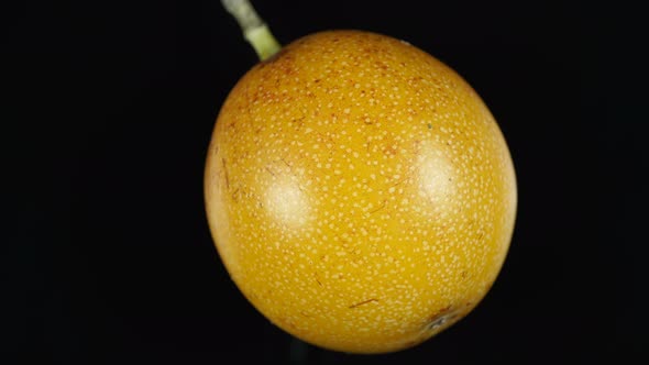 Rotating Fragrant Granadilla Fruit On A Black Background 1.