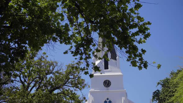 Traditional Cape Dutch Church tower appearing through oak trees in clear blue sky as moving towards