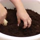 Female Hands Stir the Ground in a Pot - VideoHive Item for Sale