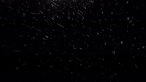 Natural Snow Particles. Black Background