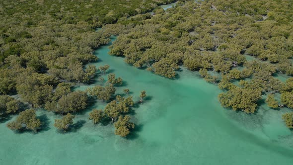 Cape Keraudren Wetlands, Western Australia 4K Aerial Drone