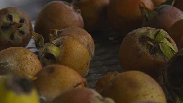 Close-up Medlar Fruit