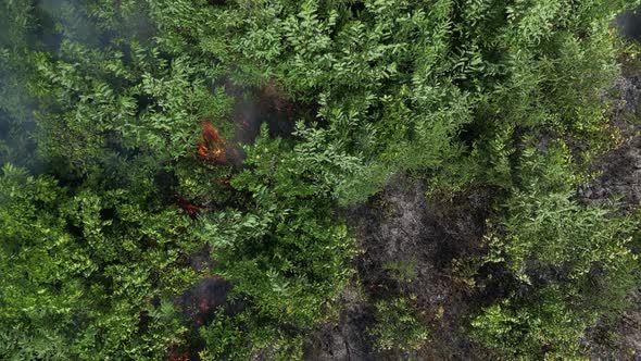 Bush Fire from Above 17