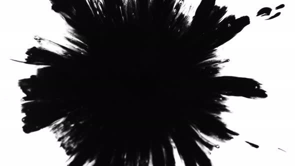 Super Slow Motion Shot of Black Ink Drop Isolated on White Background at 1000 Fps