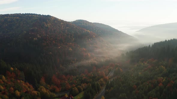Aerial View Of Foggy Forest At Colorful Sunrise In Autumn - drone forward