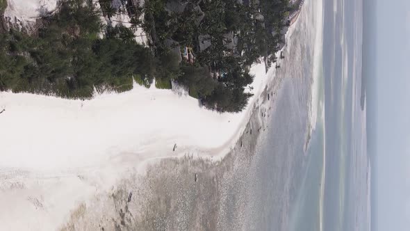 Vertical Video of Low Tide in the Ocean Near the Coast of Zanzibar Tanzania Aerial View