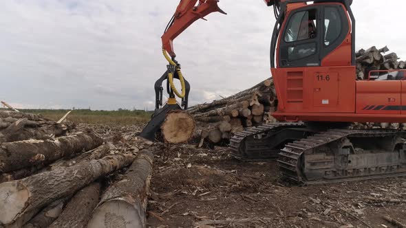 Aerial view of Harvester Cutting Tree Trunk in field near the forest 20