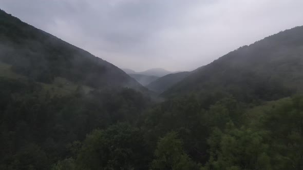 Extreme Close Flight Over Treetops in the Misty Forest