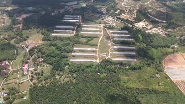 Aerial view of breeder farm and jungle in Alor Gajah