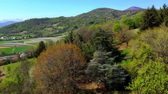 Climbing drone showing an Italian forest and colourful countryside with houses and mountains in the