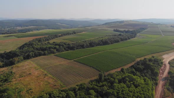 Aerial View of the Valley