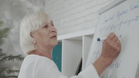 Caucasian Female Teacher in Glasses of Math or Physics Writing Formulas on Board. Cheerful Tutor