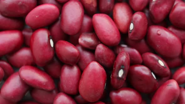 Red Kidney Beans Rotating