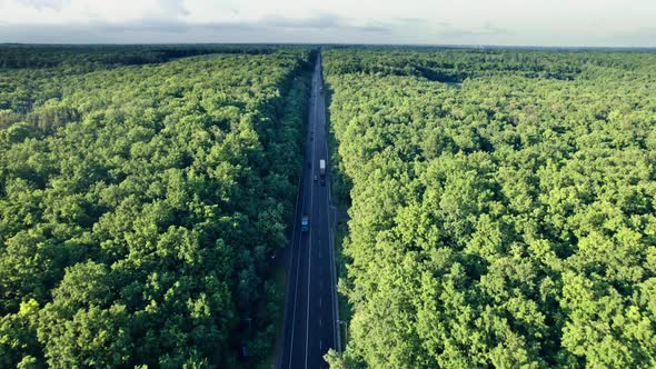 Road With Cars in Colorful Countryside Forest