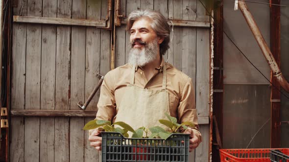 Cheerful Male Farmer Holding Crate with Plants and Posing for Camera
