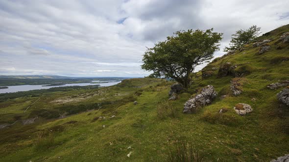 Time lapse of rural and remote landscape of grass, trees and rocks during the day in hills of Carrow