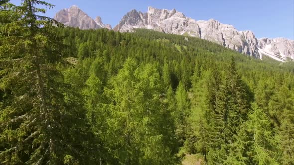 Flying above the trees in Dolomites