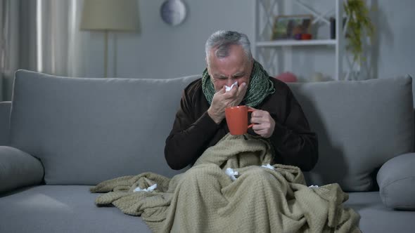 Ill Pensioner Sneezing and Drinking Hot Beverage, Treating Influenza, Flu Season