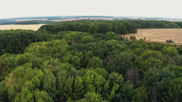 Highway with Truck Among Forests and Fields at Rural Area