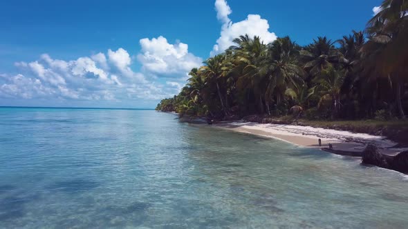 4k 24fps Drone Shoot Of The Carbbean Beach With Palmstree And Crystal Water In Sunny Day 3